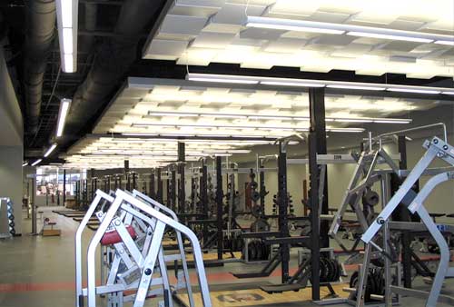 University of South Carolina Williams-Brice Football Stadium